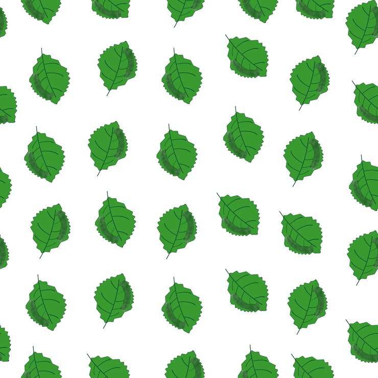 textura de la hoja verde