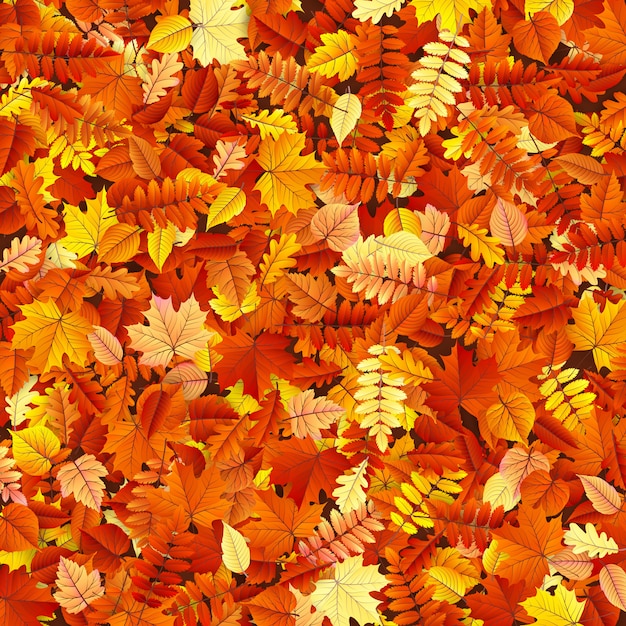 Textura de hojas de otoño