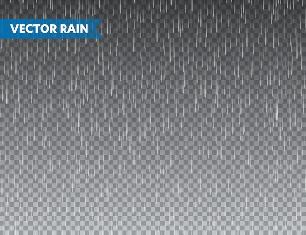 Vector textura de lluvia realista en fondo transparente efecto de gotas de agua de lluvia día lluvioso húmedo de otoño
