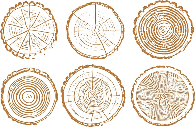 Textura de la madera 01