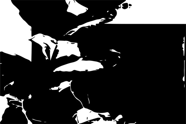 textura monocromática abstracta fondo de textura blanco y negro con manchas o manchas negras
