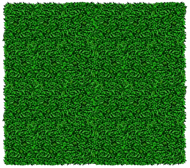 Vector textura de pared verde uva o hiedra