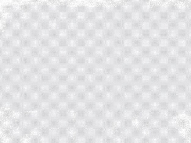 la textura del patrón fondo blanco