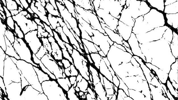 Textura de piedra de mármol negro sobre fondo blanco para superposiciones Textura de patrón de mármol blanco natural