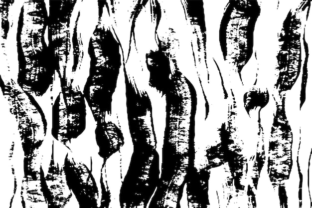 Textura de las pinceladas abstractas en blanco y negro