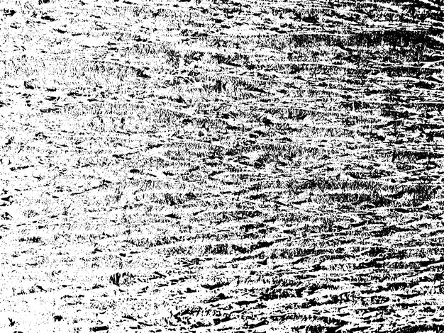 Textura rústica de vector grunge con grano y manchas Fondo de ruido abstracto Superficie erosionada Sucia y dañada Fondo áspero detallado Ilustración gráfica vectorial con EPS10 blanco transparente