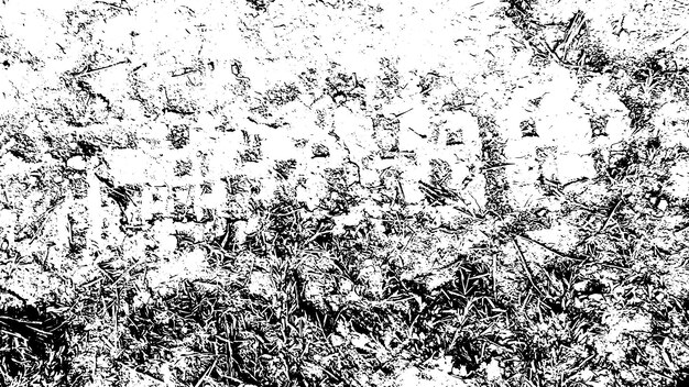 Textura rústica de vector grunge con grano y manchas Fondo de ruido abstracto Superficie erosionada Sucia y dañada Fondo áspero detallado Ilustración gráfica vectorial con EPS10 blanco transparente