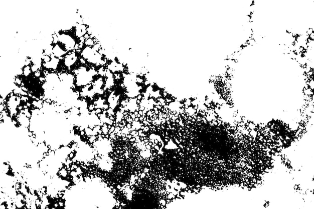 Textura rústica de vector grunge con grano y manchas Fondo de ruido abstracto Superficie erosionada Sucia y dañada Fondo áspero detallado Ilustración gráfica vectorial con EPS10 blanco transparente