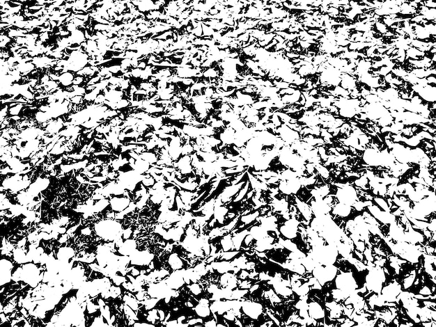 Textura rústica de vector grunge con grano y manchas Fondo de ruido abstracto Superficie erosionada Sucia y dañada Fondo áspero detallado Ilustración gráfica vectorial con EPS10 blanco transparente