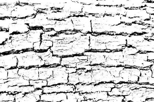 Textura de superposición apenada de superficie rugosa, madera agrietada, corteza de árbol.