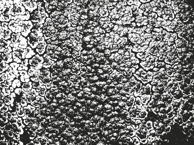 Textura de superposición de polvo metálico agrietado de hormigón pelado