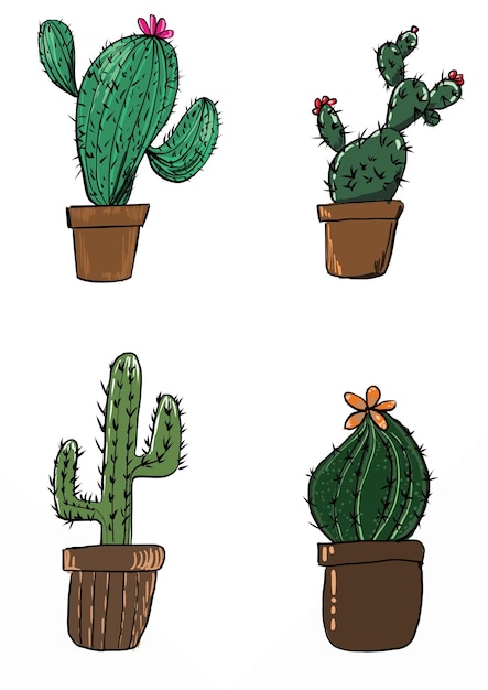 textura de vector de ilustración de cactus