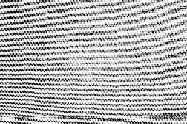 Textura de vector de mezclilla. Textura de fondo de vector de jeans blanco y negro