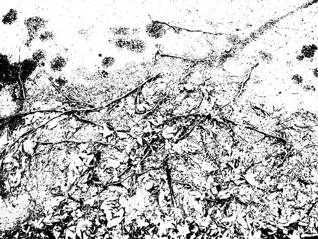 Textura vectorial grunge rústica con grano y manchas Fondo de ruido abstracto Superficie erosionada Sucia y dañada Fondo áspero detallado Ilustración gráfica vectorial con EPS10 blanco transparente