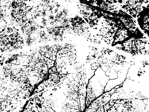 Textura vectorial grunge rústica con grano y manchas Fondo de ruido abstracto Superficie erosionada Sucia y dañada Fondo áspero detallado Ilustración gráfica vectorial con EPS10 blanco transparente