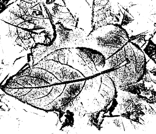 Textura vectorial de grunge rústico con grano y manchas Fondo de ruido abstracto Superficie desgastada