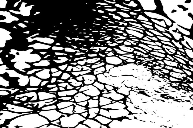 textura vectorial de imagen en blanco y negro textura de fondo