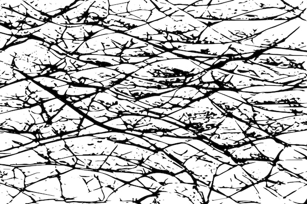 textura vectorial de imagen en blanco y negro textura de fondo