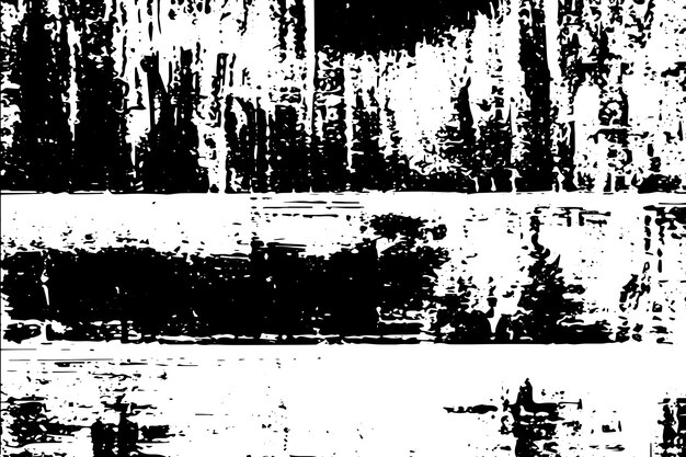 textura vectorial de imagen en blanco y negro textura de fondo