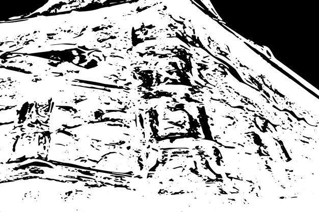 textura vectorial de imagen en blanco y negro textura de fondo