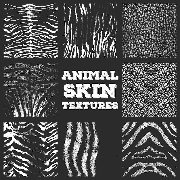 Texturas de piel animal texturas vectoriales conjunto de fondo