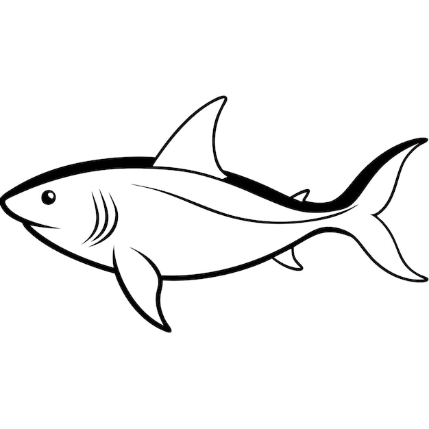 Tiburón azul toro del mar ilustración vectorial de color real en el fondo blanco color negro y blanco