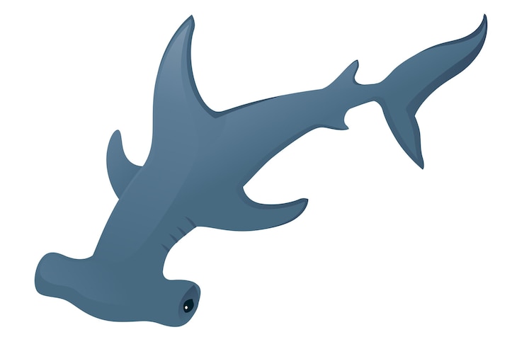 Vector tiburón martillo bajo el agua animal gigante diseño de personajes de dibujos animados simples ilustración vectorial plana aislada sobre fondo blanco