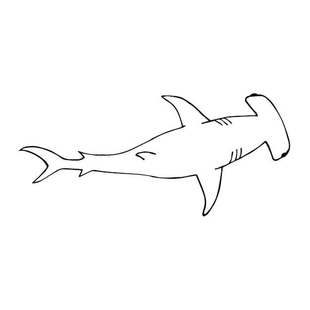 Tiburón martillo dibujado a mano vectorial
