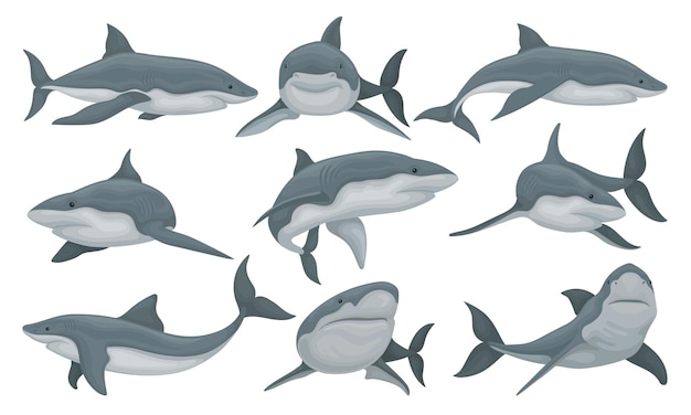 Tiburón nadando conjunto vector de peces animales marinos ilustración aislada sobre fondo blanco