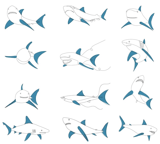 Tiburones dibujando un boceto de línea en fondo blanco vectorial