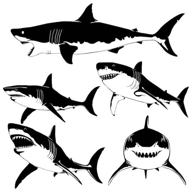 Tiburones