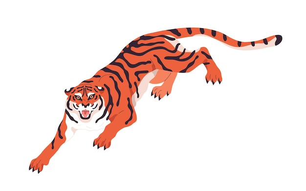 Tigre de Bengala merodeando y rugiendo. Animal felino salvaje, gato con dientes caminando, arrastrándose. Carnívoro rayado, bestia. depredador de la selva. Ilustración de vector plano coloreado aislado sobre fondo blanco.