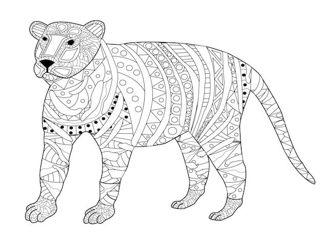 Tigre para colorear vector para adultos