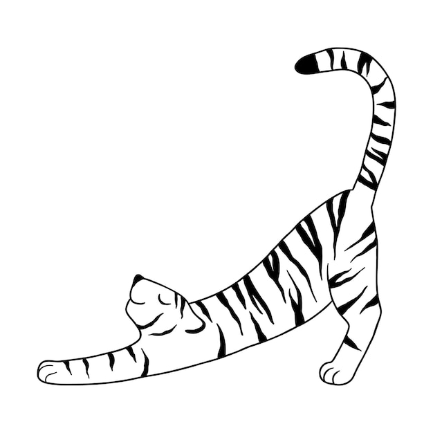 Tigre Doodle dibujado con una línea negra. tigre se despereza del sueño. ilustración vectorial aislado sobre fondo blanco.
