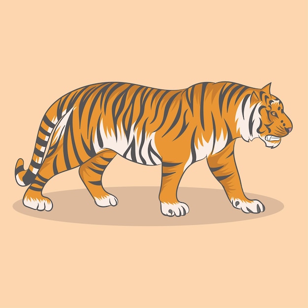 Tigre. ilustración vectorial 10 eps