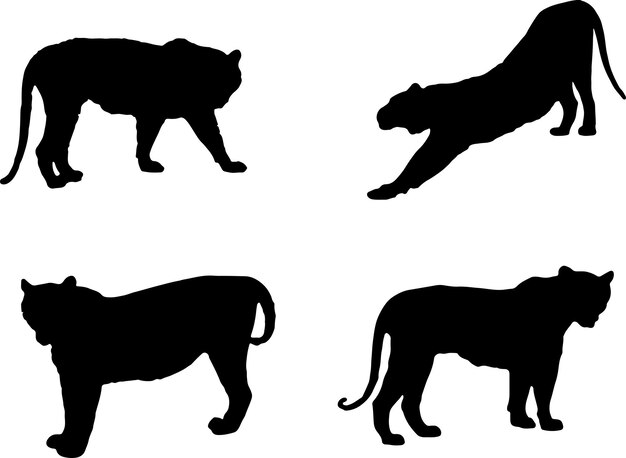 Tigre Shilhouette vector eps