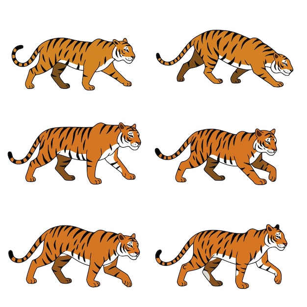 Tigres de dibujos animados en varias poses
