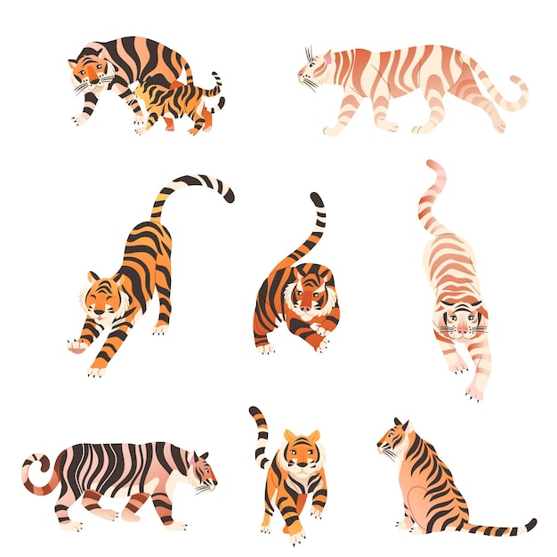 Los tigres en varias poses establecen grandes animales de gato salvaje ilustración vectorial