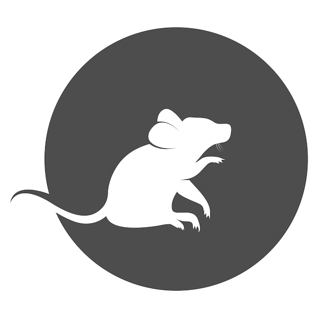 Vector tikus