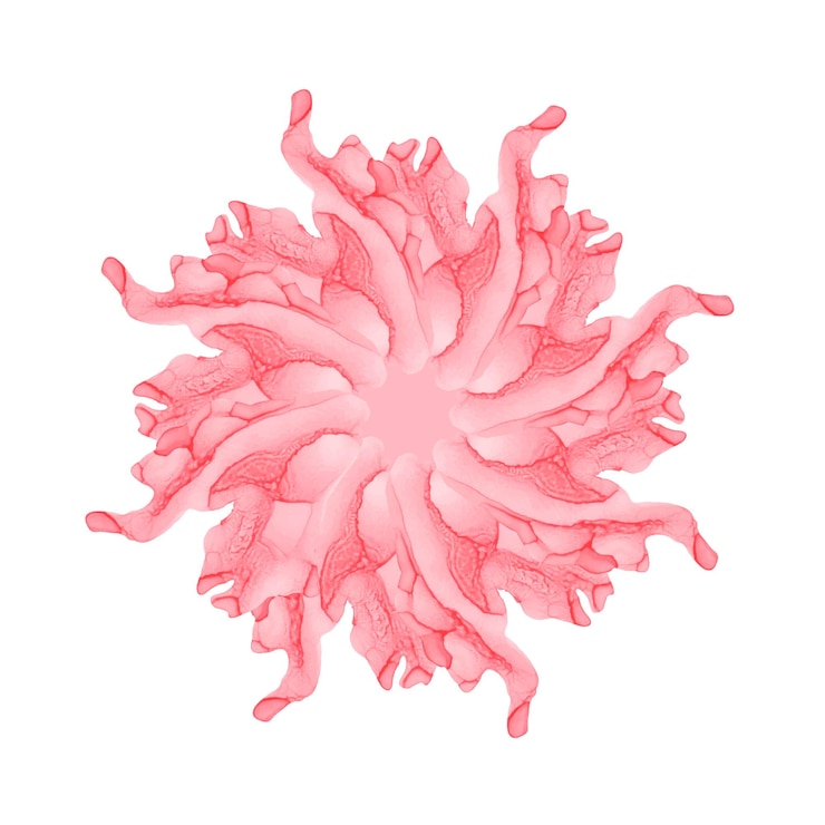 Vector tinta de alcohol pintada a mano con forma floral sobre fondo blanco.