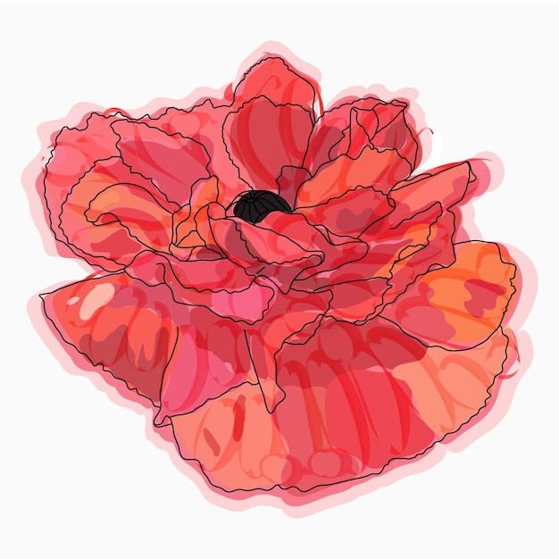 Tinta lápiz acuarela amapola flor bosquejo Dibujado a mano naturaleza pintura