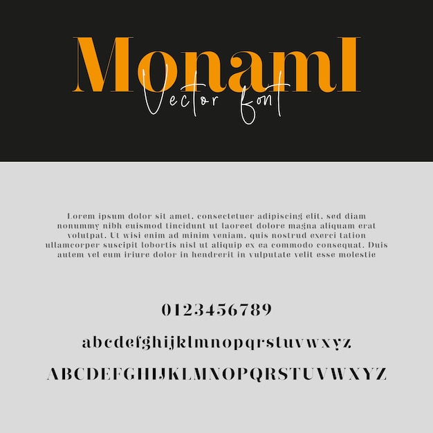 Tipo de letra vectorial