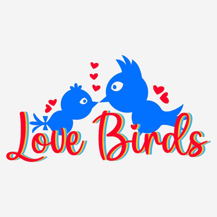 Vector tipografía moderna para impresión de moda de gráficos de camisetas y otros usos elemento de diseño para publicación de banner