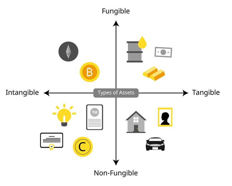 Vector tipos de activos para fungibilidad fungibilidad no fungibilidad activo tangible e intangible
