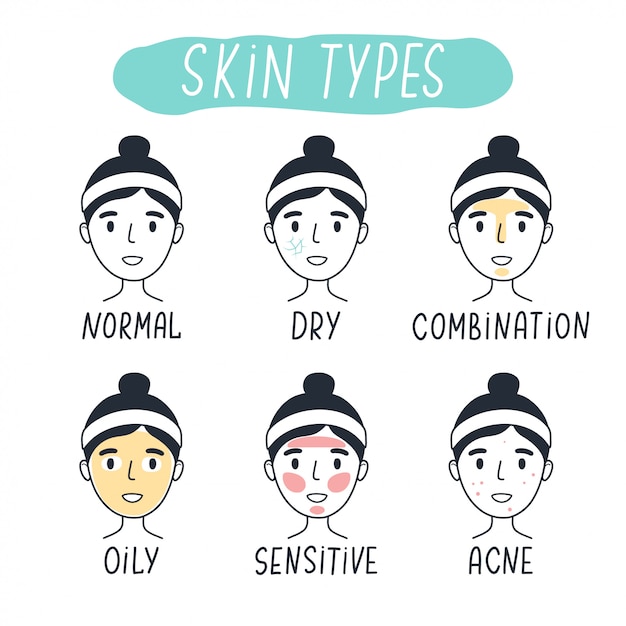 Tipos básicos de piel normal, seca, mixta, grasa, sensible y con acné. Elementos lineales