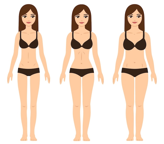 Tipos de cuerpo femenino Ectomorfo Mesomorfo y Endomorfo