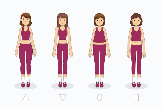 Vector tipos de dibujos animados de formas del cuerpo femenino