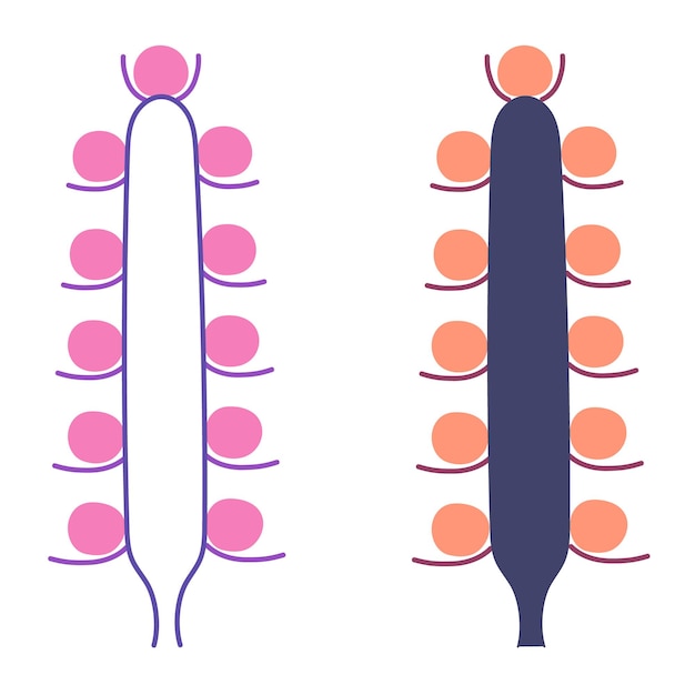 Tipos de inflorescencias florales en plantas en un tallo Estilo plano Vector aislado