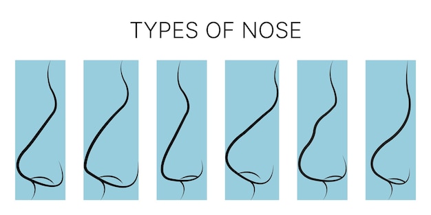 tipos de narices