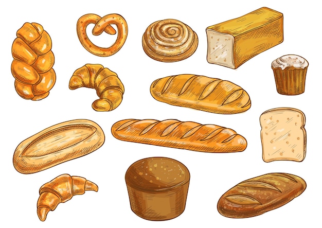 Tipos de pan y conjunto de elementos de panadería. Dibujo a lápiz de vector de pan de centeno, ciabatta, pan de trigo, muffin, bollo, bagel, pan de molde, baguette francés, croissant, pretzel